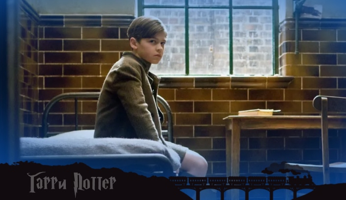 о чем будет сериал по Гарри Поттеру