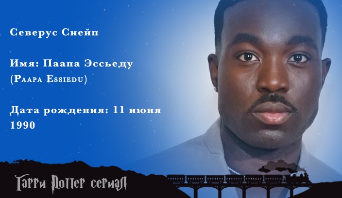 Паапа Эссьеду - Северус Снейп
